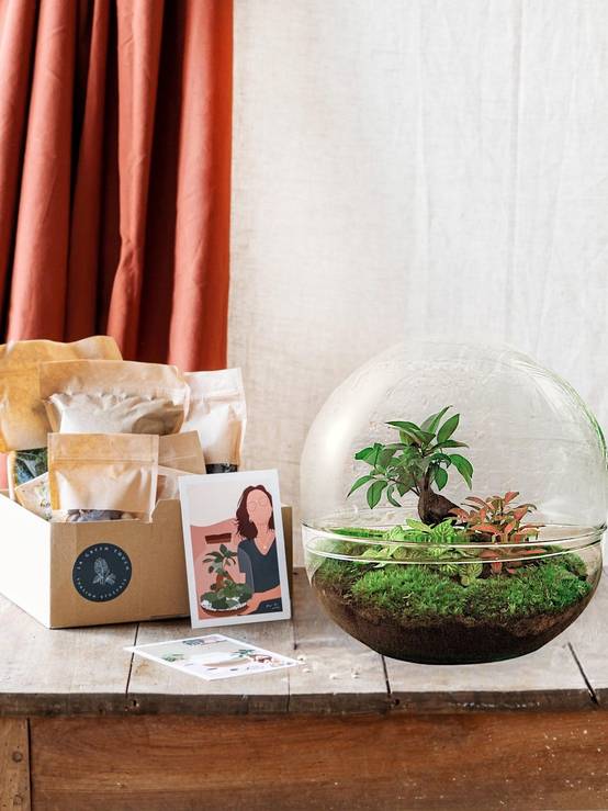 Kit Terrarium Diy - D30 H30cm - Image 1
