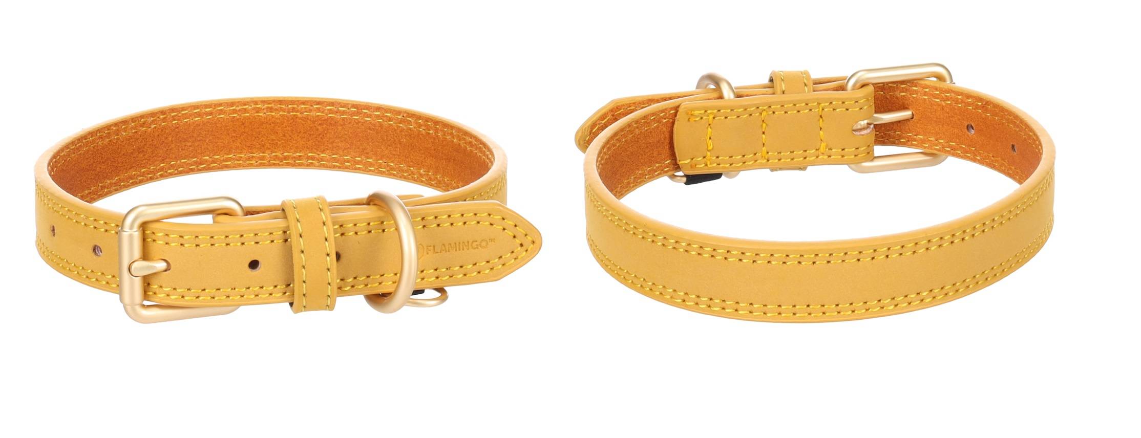 Eden - Collier pour chien Virginia en cuir S / M 31-39cm 20mm jaune - Image 4
