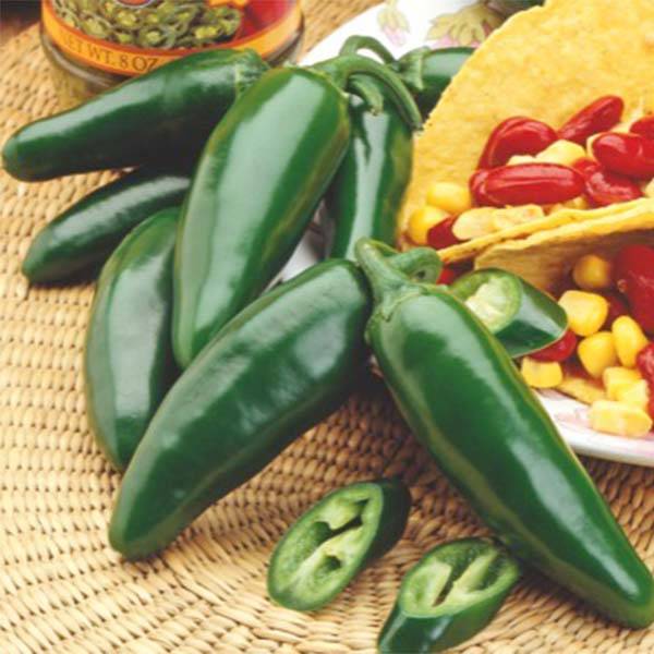Piment Jalapeno mexicain le sachet de 180 graines environ (1,5g)