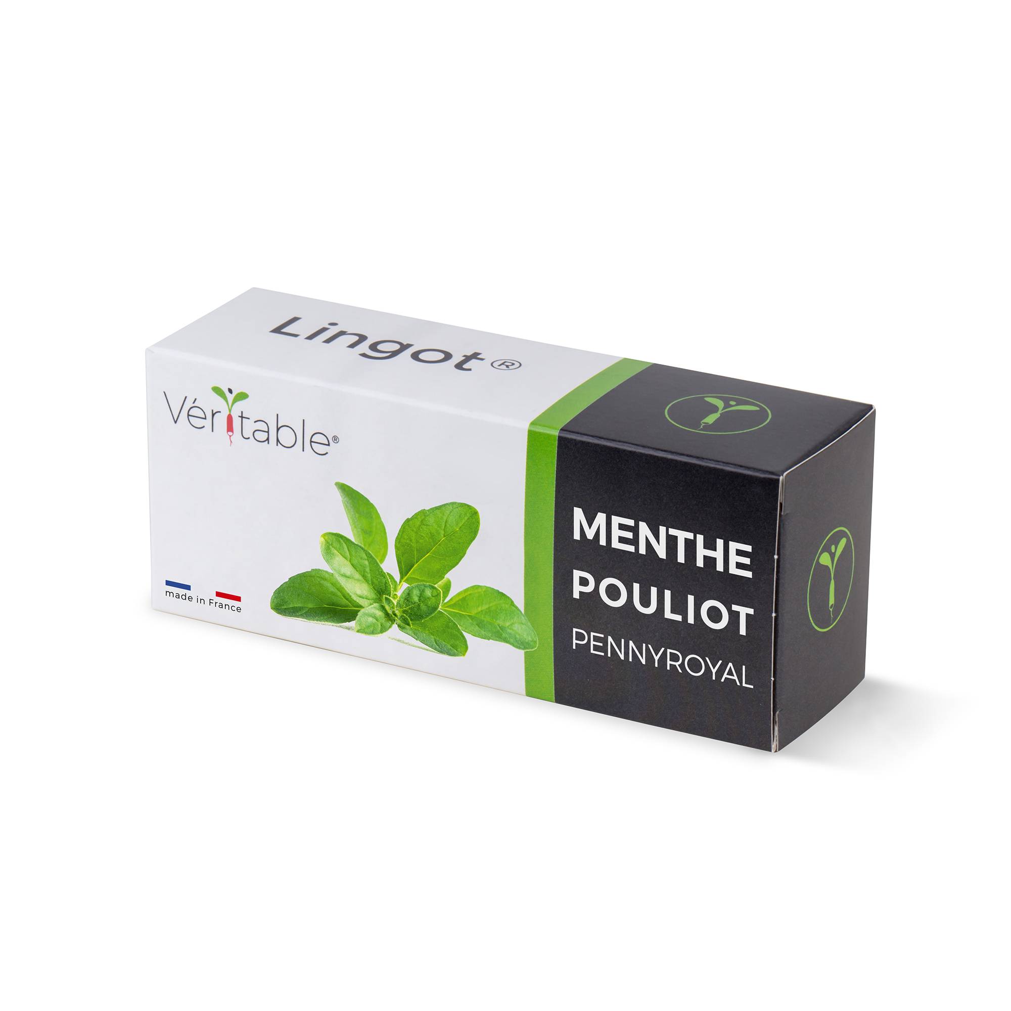 Veritable - Lingot Menthe pouliot - Recharge prête à l'emploi - Véritable - Image 1