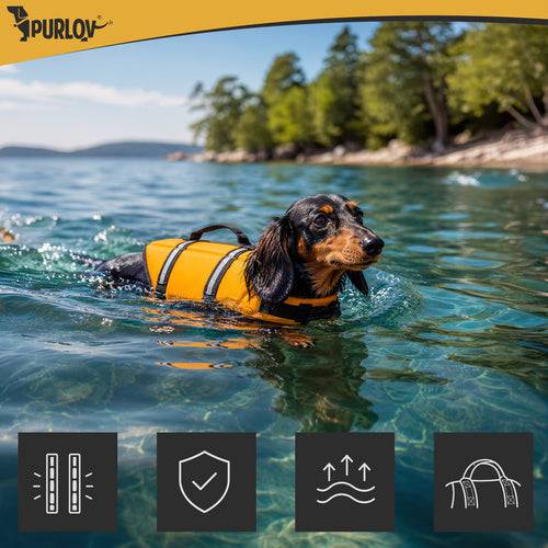 Gilet de sauvetage pour chien - Taille M Purlov - Image 3
