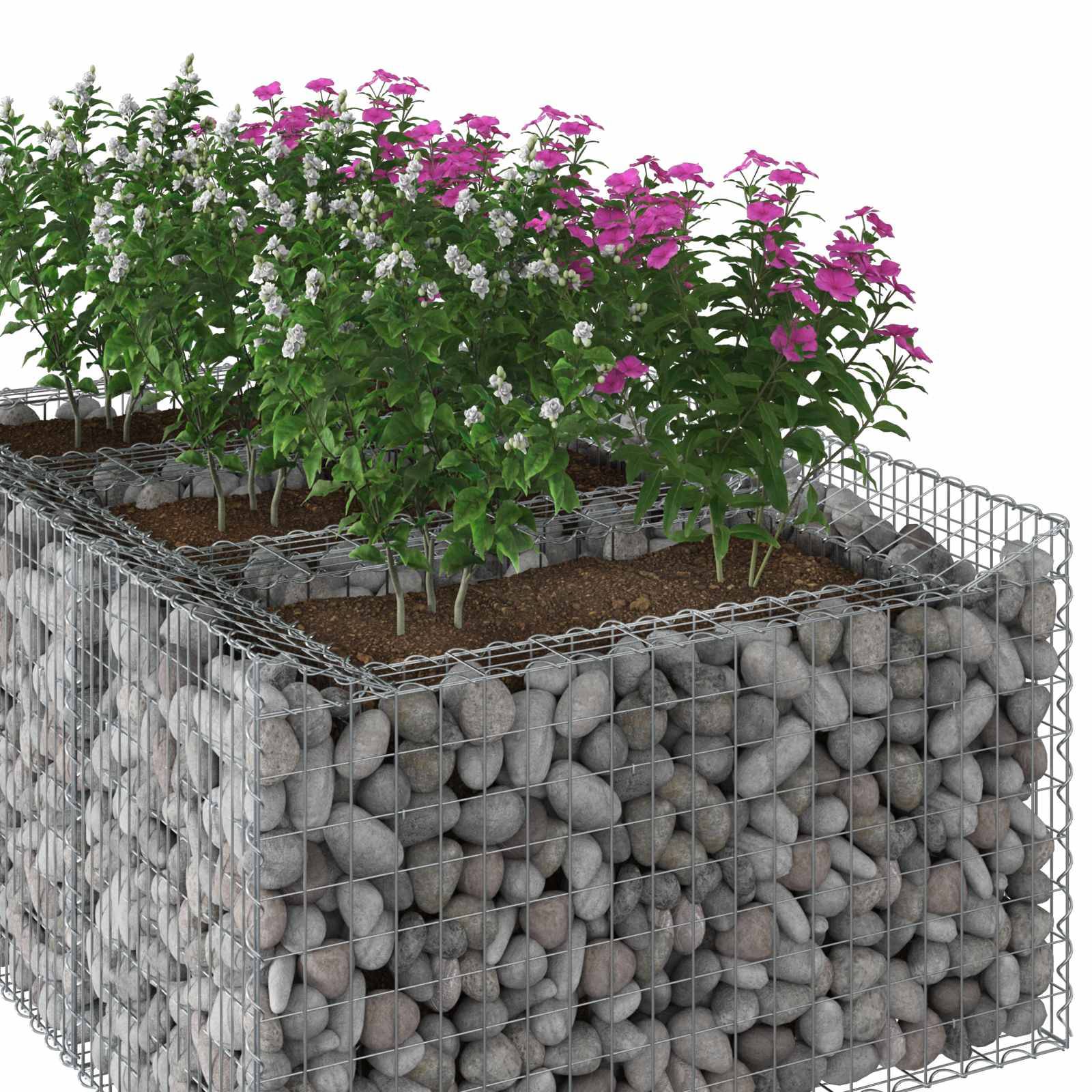 PANGIVO - Lit surélevé gabion Acier galvanisé Argenté 150 x 100 x 60 cm - PANGIVO - Image 4