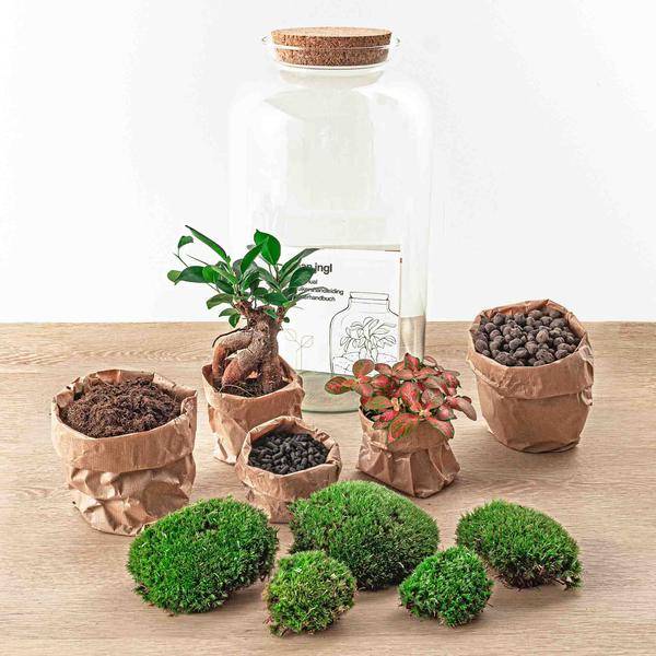 Diy Terrarium - D43 H43cm - Image 3