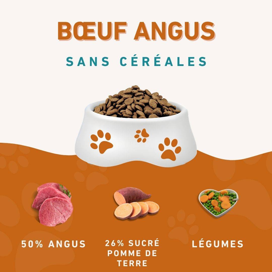 Wildfang - Wildfang - Aliment complet au bœuf - Pâtée au bœuf pur et croquettes Angus - Sans céréales - Image 2