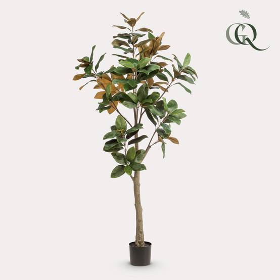 Magnolia Grandiflora Artificiel Tronc Bois Feuillage Soie Déco Intérieur 180cm - ComfortXL Green Living - Image 1