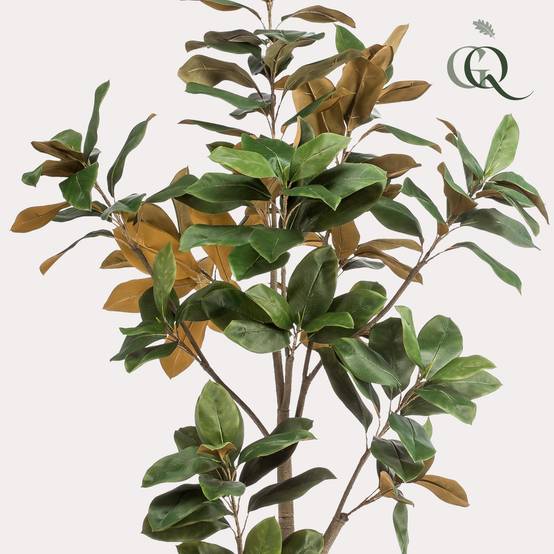 Magnolia Grandiflora Artificiel Tronc Bois Feuillage Soie Déco Intérieur 180cm - ComfortXL Green Living - Image 2