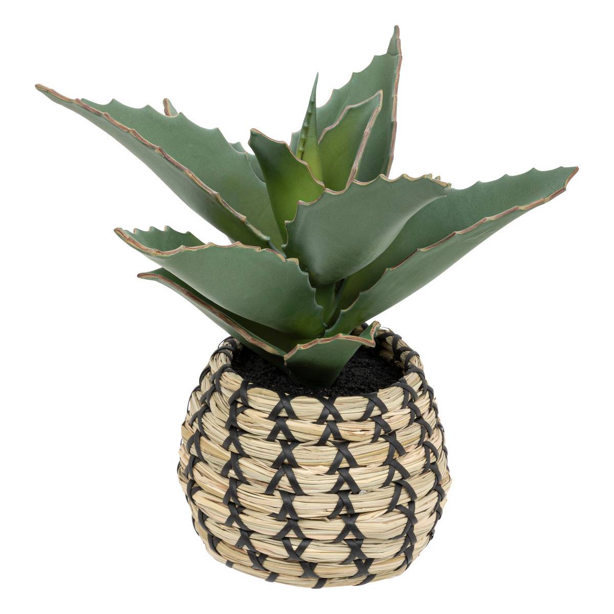 Atmosphera - Plante artificielle Samouraï dans un pot tressé à la main H 26 cm - Image 1