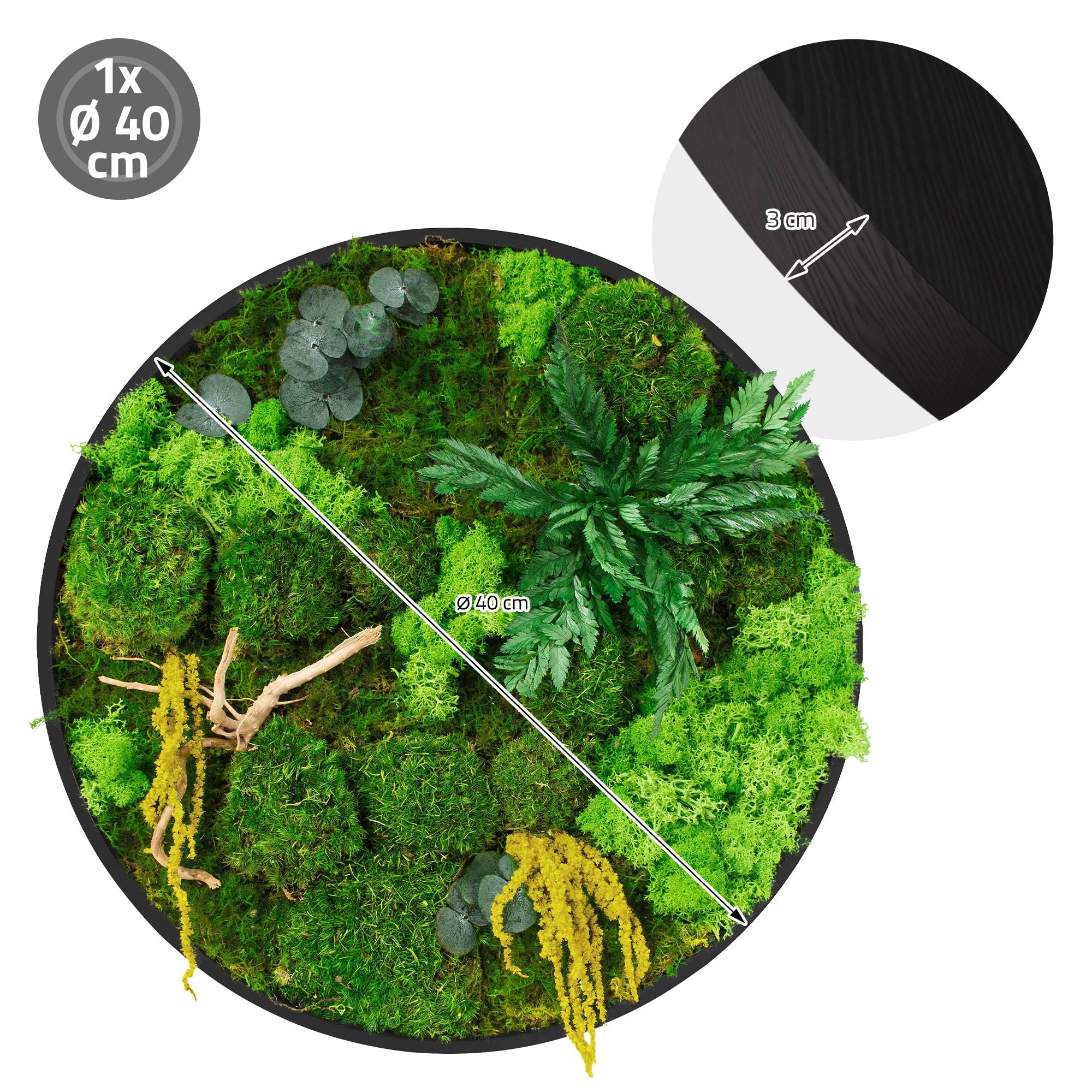 Ecd-Germany - Tableau végétal mural stabilisé, Ø 40 cm, mélange de mousses avec eucalyptus, fougères et bois naturel, effet 3D, décoration d'intérieur, style jungle - Image 8