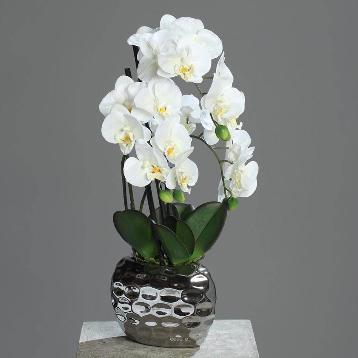 Artificielles - Orchidee artificielle 3 hampes en pot ceramique Argent H 55 cm Crème - couleur: Crème - Image 2
