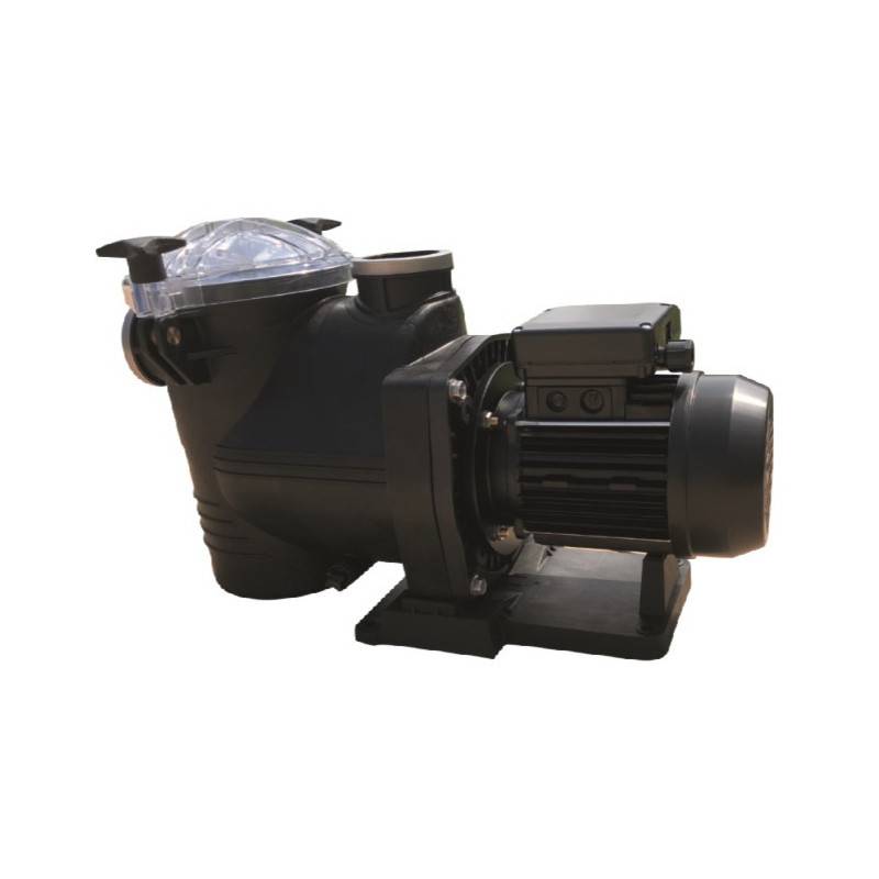 Astralpool - Pompe de filtration piscine AstralPool New Europa SE2N -  - Type 3 cv - Triphasé - 2,20 kW - 29 m3/h - Image 2