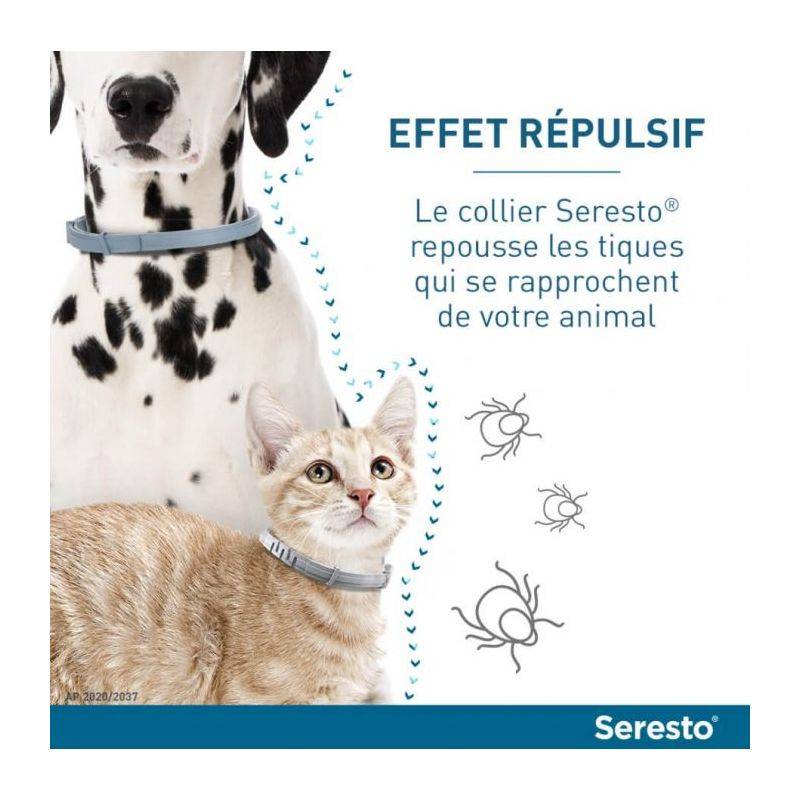 Collier antiparasitaire petit chien - Seresto Collier x2 - Image 3