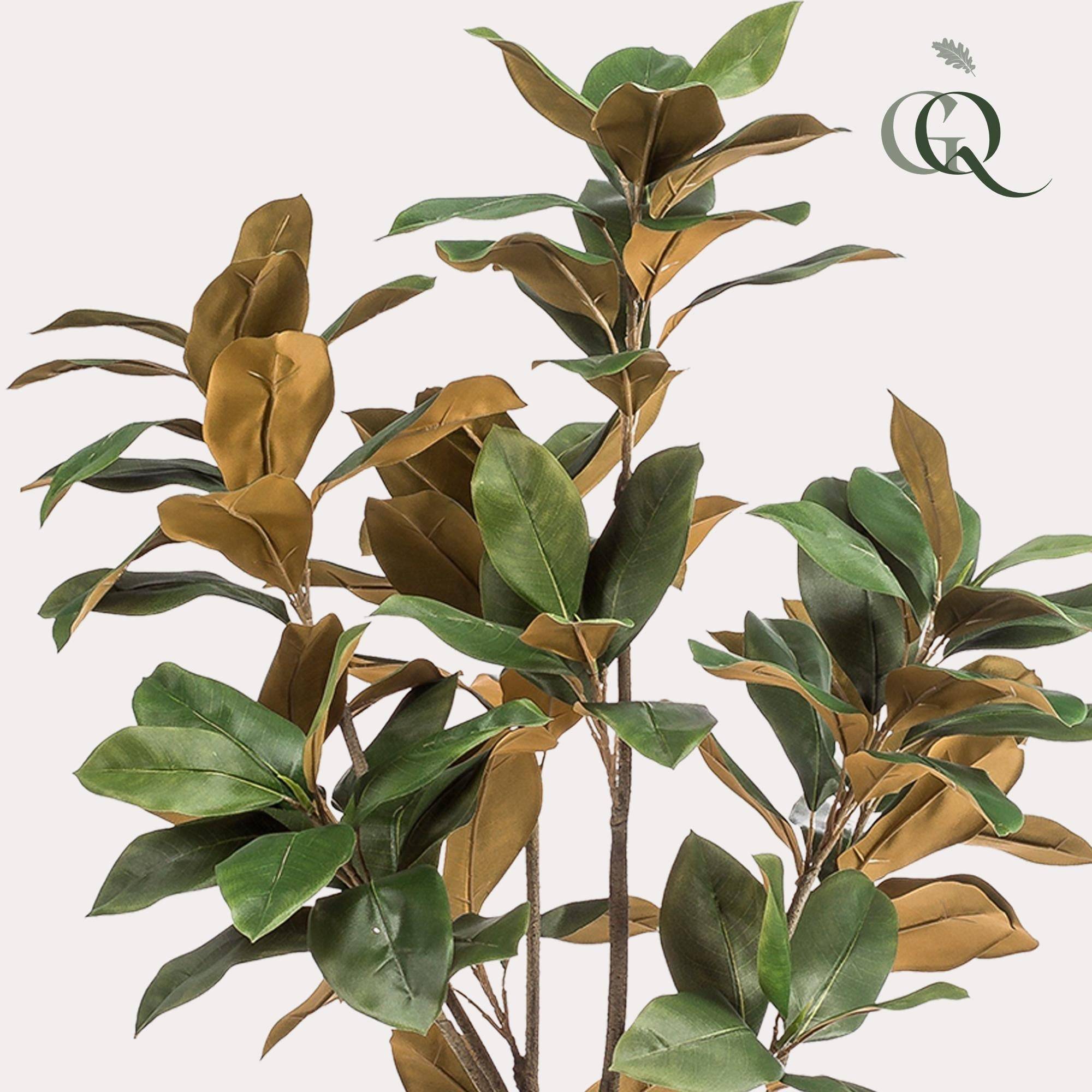La Green Touch - Magnolia Grandiflora plante artificielle - h150cm, Ø15cm- La Green Touch - Image 2