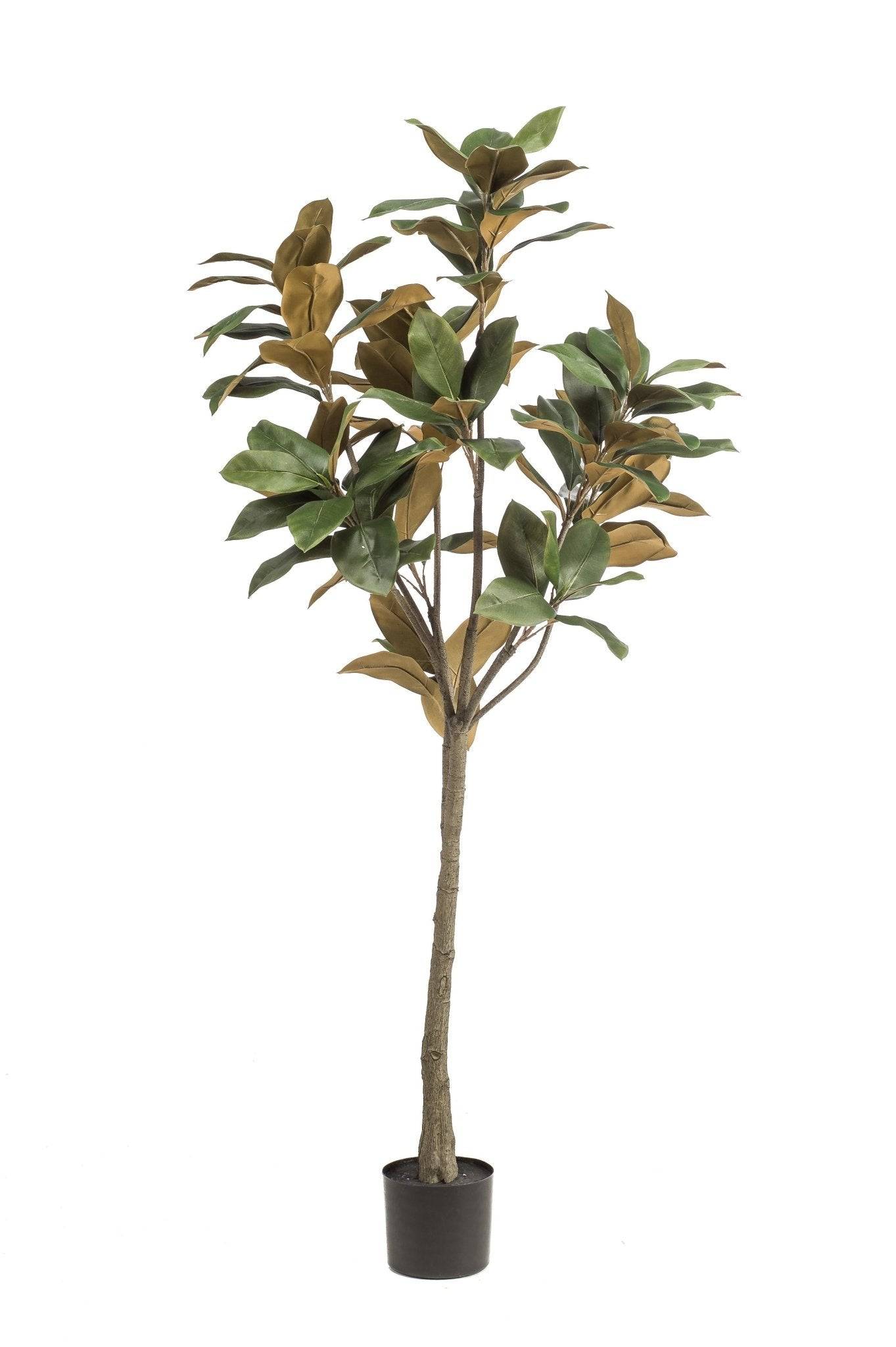 La Green Touch - Magnolia Grandiflora plante artificielle - h150cm, Ø15cm- La Green Touch - Image 5
