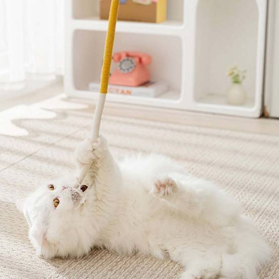 3 Corde à Mâcher pour Chats - Jouet Dentaire DtopbuyAge - Image 5