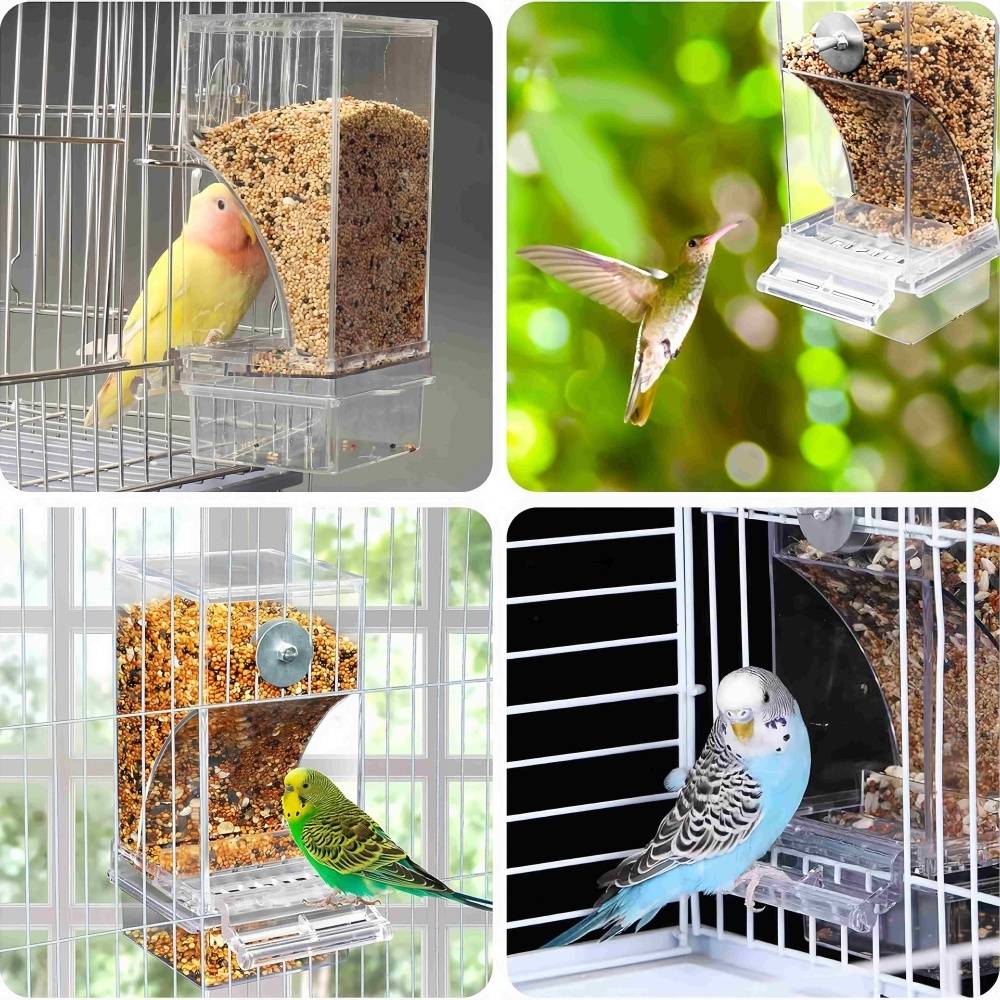 IntiMeg - Mangeoire automatique pour oiseaux TRANSPARENT IntiMeg - Image 3