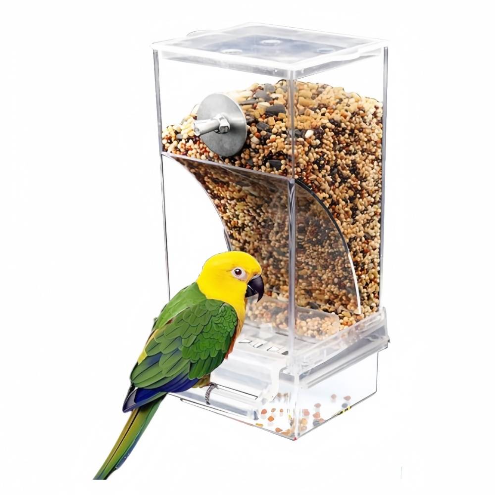 IntiMeg - Mangeoire automatique pour oiseaux TRANSPARENT IntiMeg - Image 2