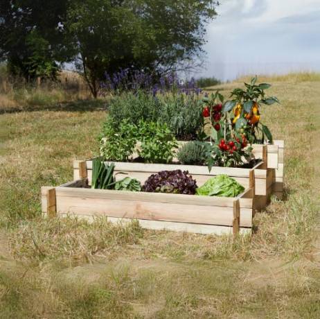 Carré potager Lipsi - Image 3