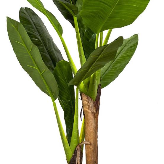 The Home Deco Factory - Bananier artificiel en pot 160 cm - Image 3
