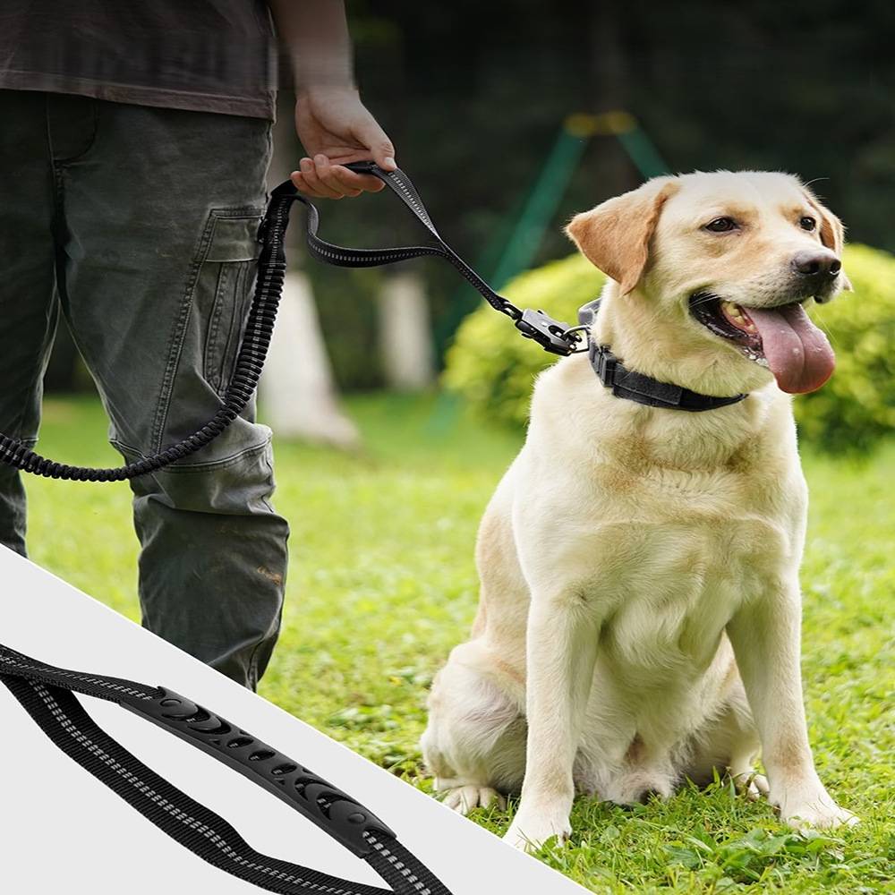 Laisse pour chien multi fonctionnelle - IntiMeg - Image 3