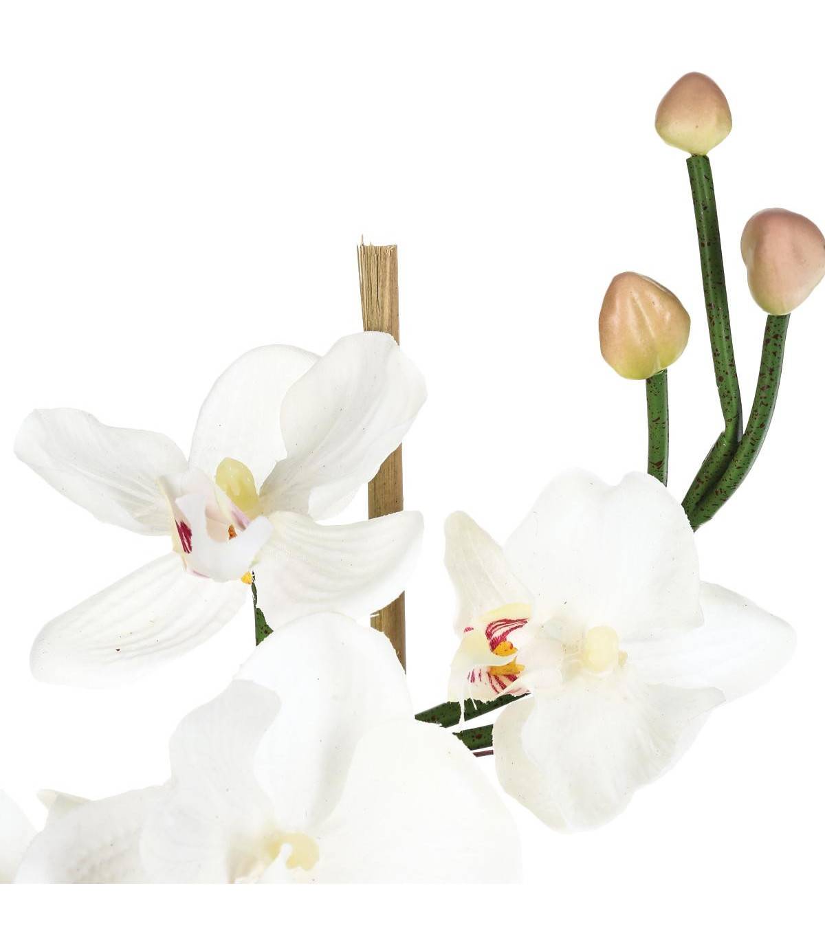 Composition florale d'Orchidées artificielles Vase en Verre D. 18 x H. 35 cm - Image 2