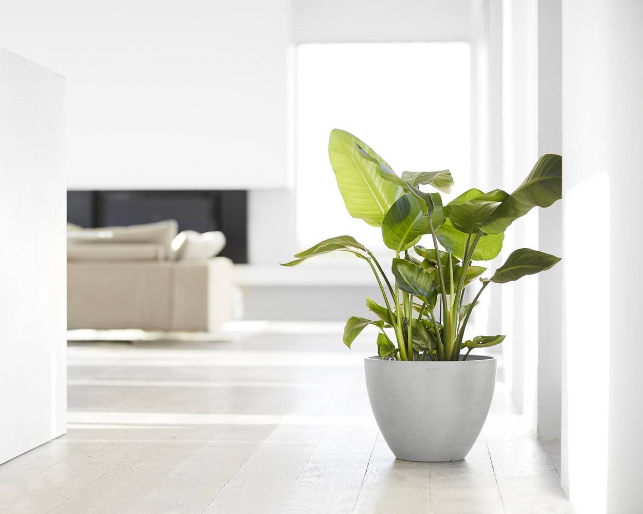 Ecopots - Pot Rond Antwerp 40 Blanc Gris - Ø 40 x H. 30 cm - 25 L ECOPOTS - Image 3