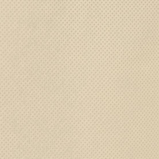 PANGIVO - Housses de protection pour plantes polypropylène beige 80 x 80 cm - PANGIVO - Image 8