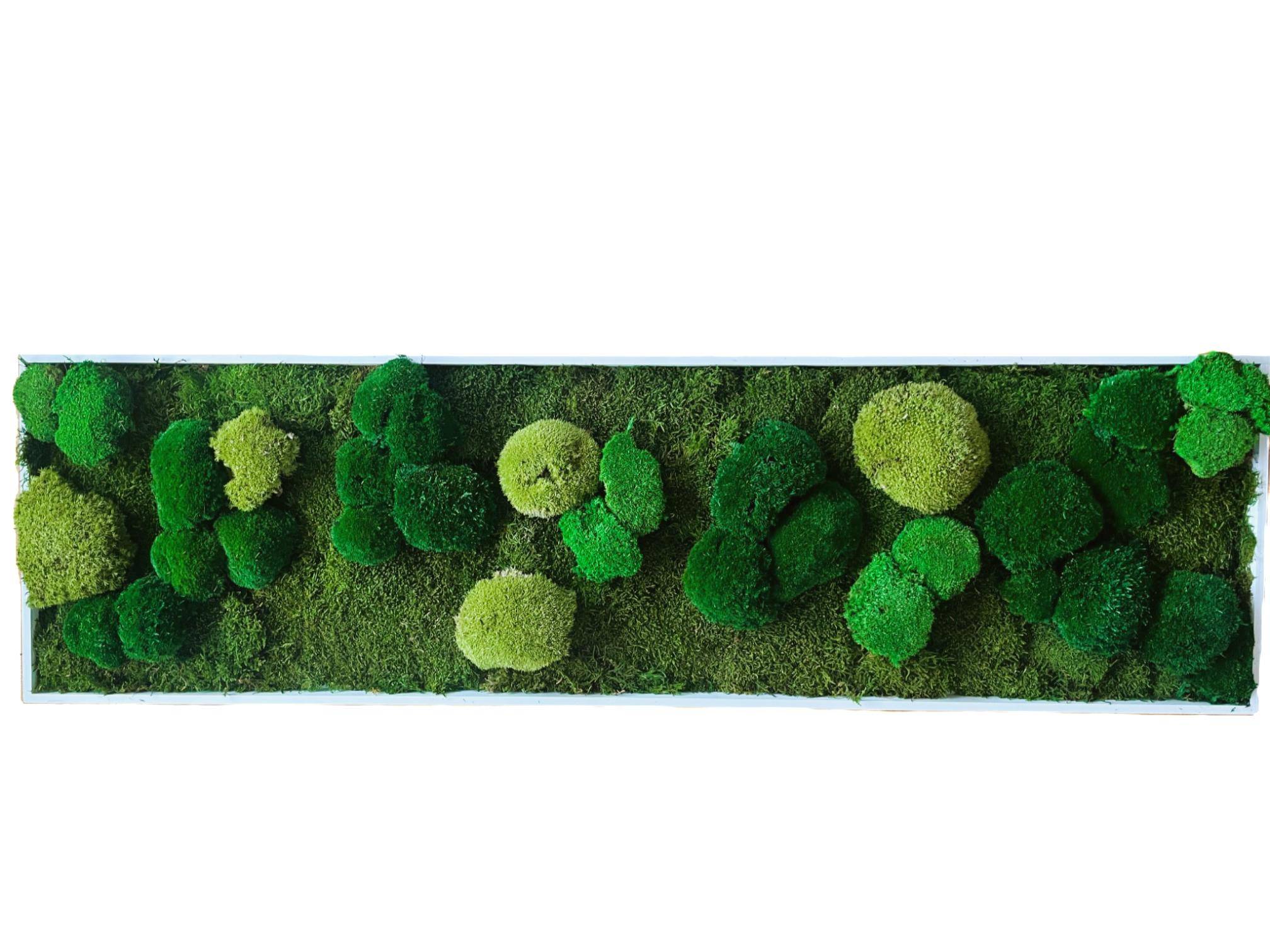 Tableau végétal stabilisé Trio de mousse boule vert- tableau végétal - décoration d'intérieur -140*40 cm