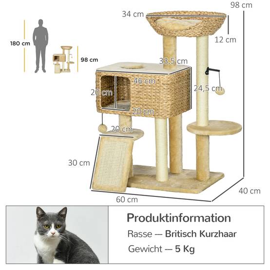 Arbre à chat sisal et peluche beige 60 x 40 x 98 cm - PANGIVO - Image 5
