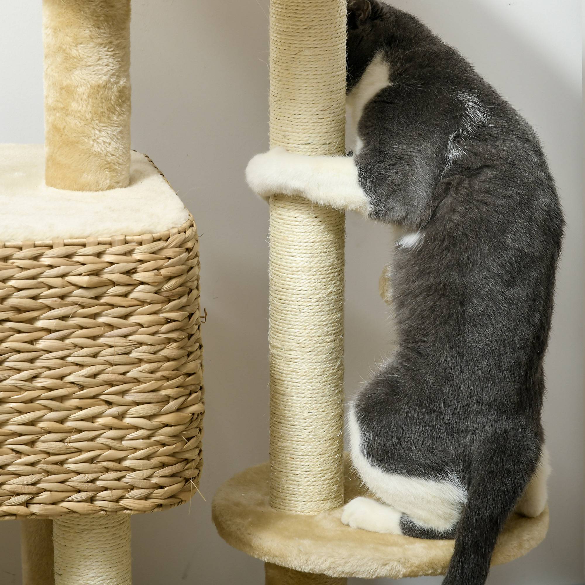 Arbre à chat sisal et peluche beige 60 x 40 x 98 cm - PANGIVO - Image 9