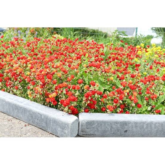 Bordure Ardoise Patinée XL 50 cm - Pack 10 pièces - 5 mètres - Image 1