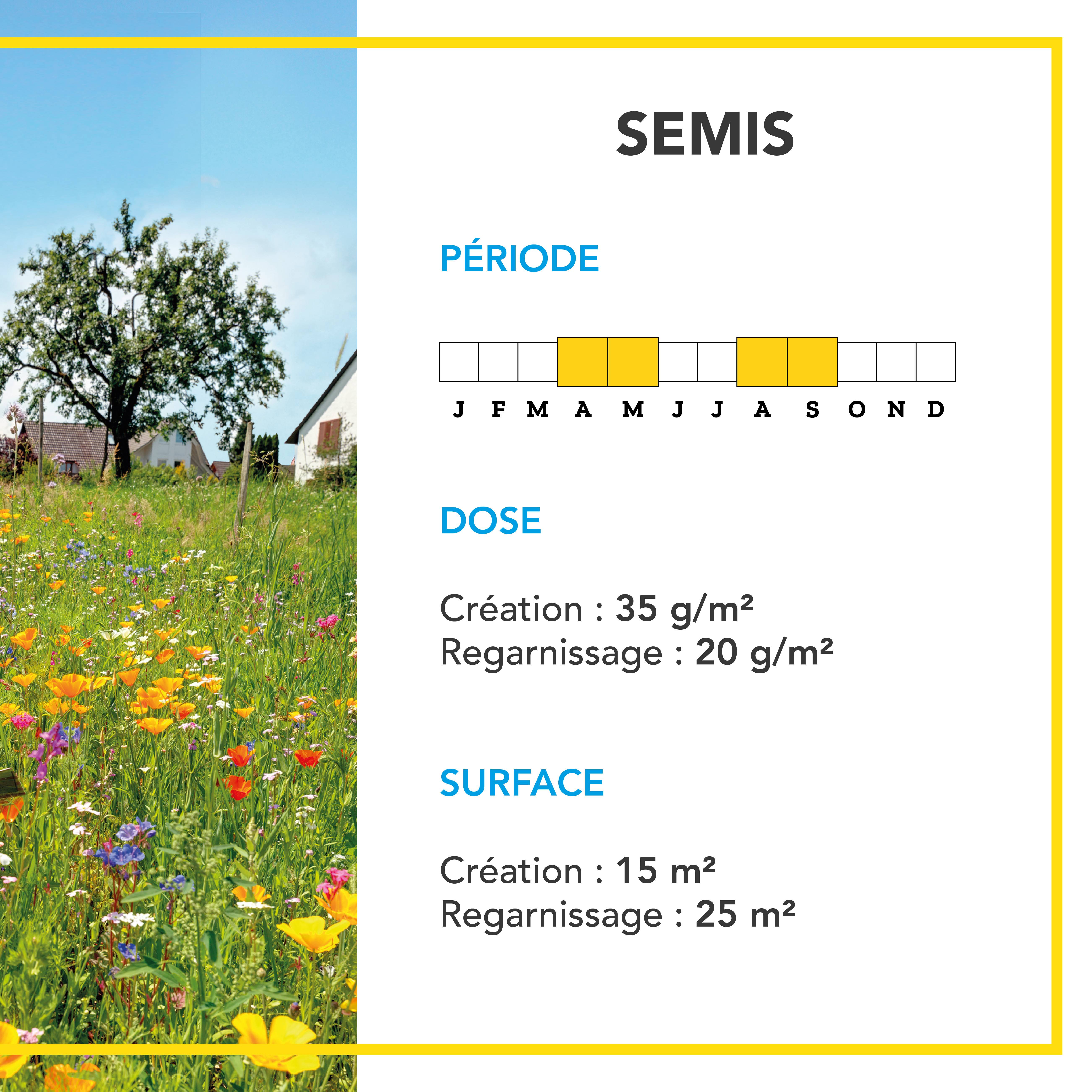 Pelouse Ambiance Bucolique - Très Facile d'Entretien - Évolue au Fil des Saisons - Excellente Pérennité - 500G - BARENBRUG - Image 4