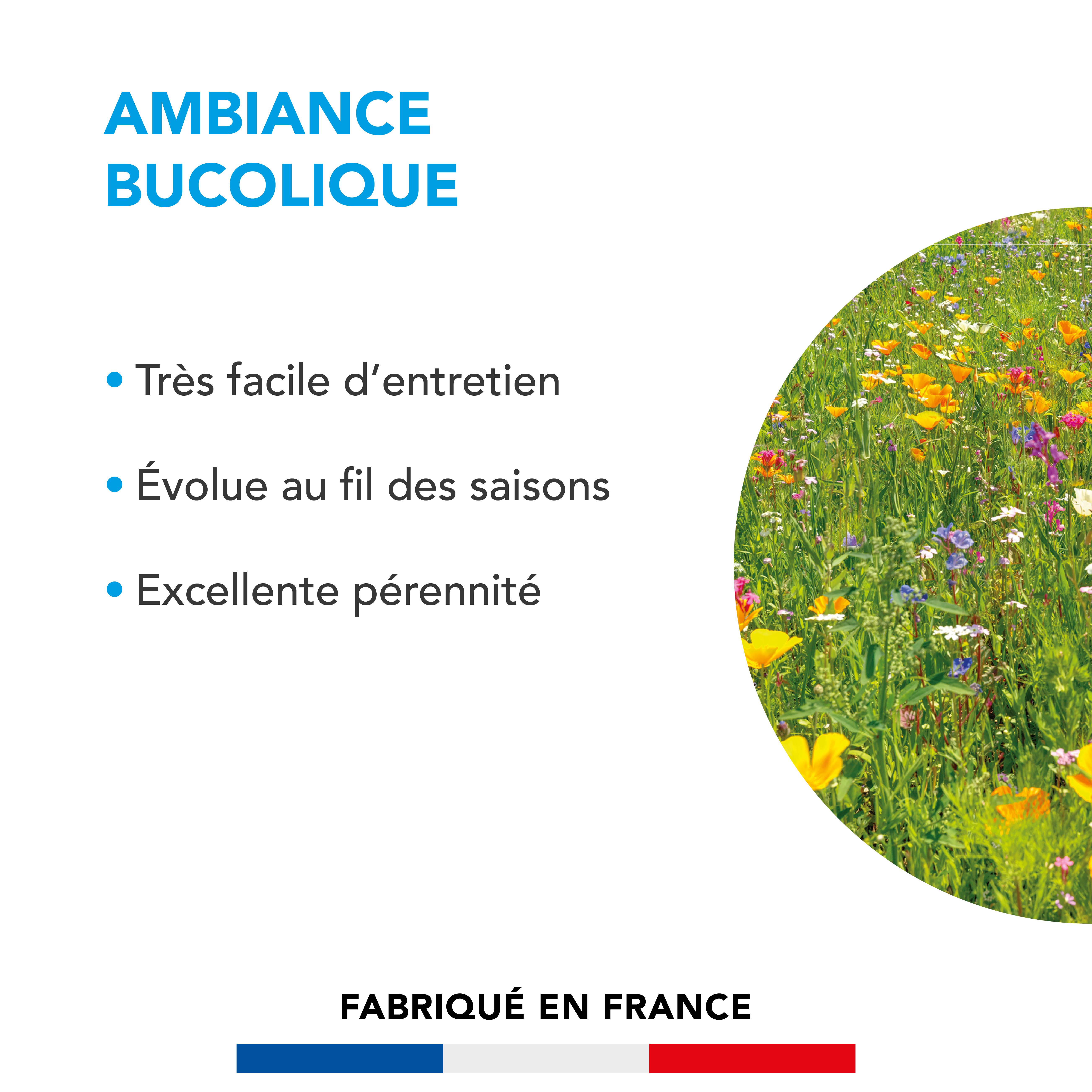 Pelouse Ambiance Bucolique - Très Facile d'Entretien - Évolue au Fil des Saisons - Excellente Pérennité - 500G - BARENBRUG - Image 2