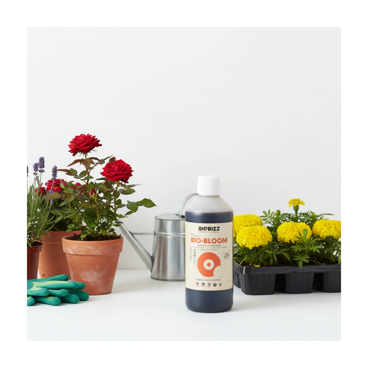 Engrais floraison BIO.BLOOM 500ml - BIOBIZZ - Image 3