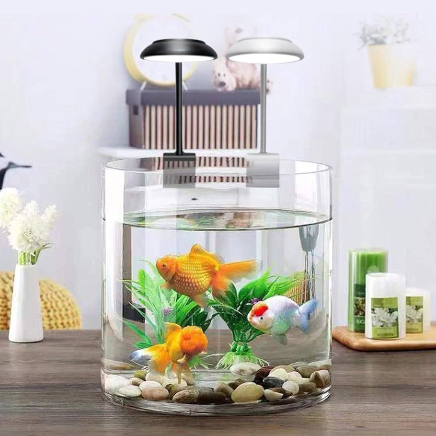 DtopbuyAge - Éclairage LED aquarium - Orientation 360° sans scintillement DtopbuyAge - Image 3