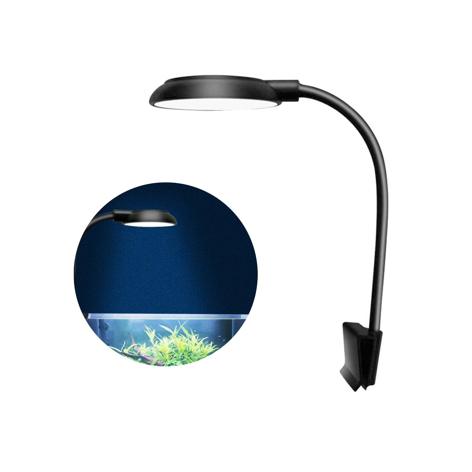DtopbuyAge - Éclairage LED aquarium - Orientation 360° sans scintillement DtopbuyAge - Image 1