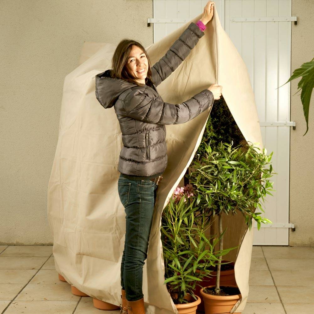 Housse d'hivernage large pour plante 120 x 180 Beige - Image 8