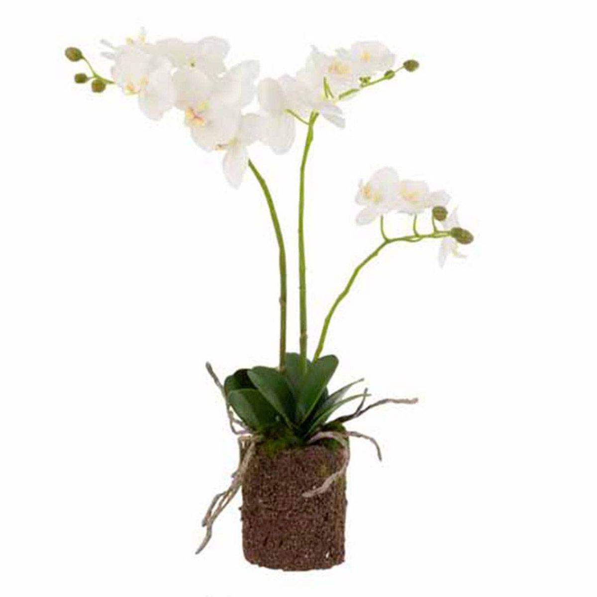 Fleur Artificielle Déco "Orchidée en Terre" 54cm Blanc - Image 1