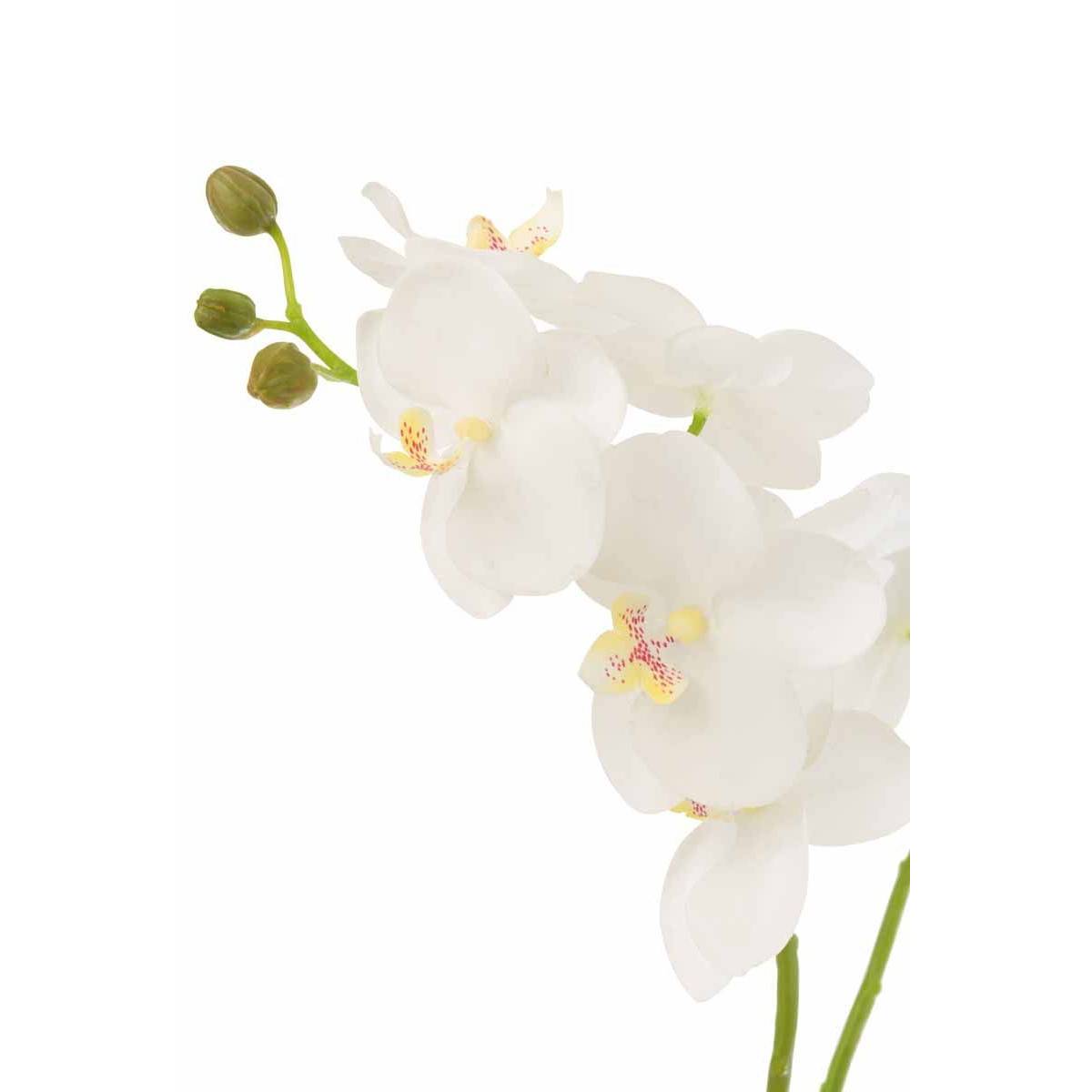 Fleur Artificielle Déco "Orchidée en Terre" 54cm Blanc - Image 2