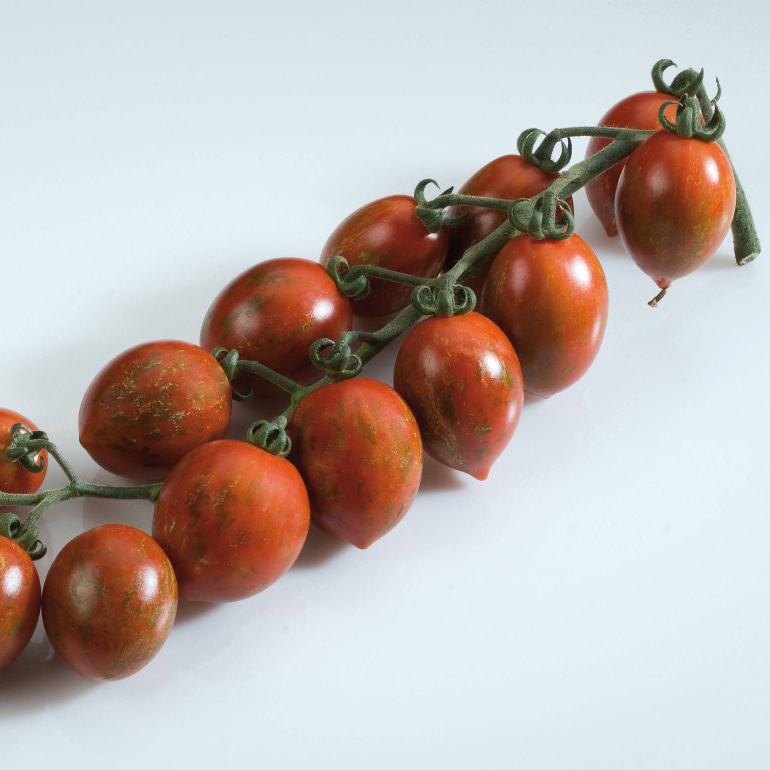 Tomate Cookie F1 mélange en plants Pot de 10 cm/11cm - Image 2