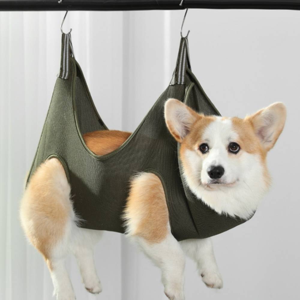 IntiMeg - Hamac de toilettage pour chien et chat S IntiMeg - Image 7