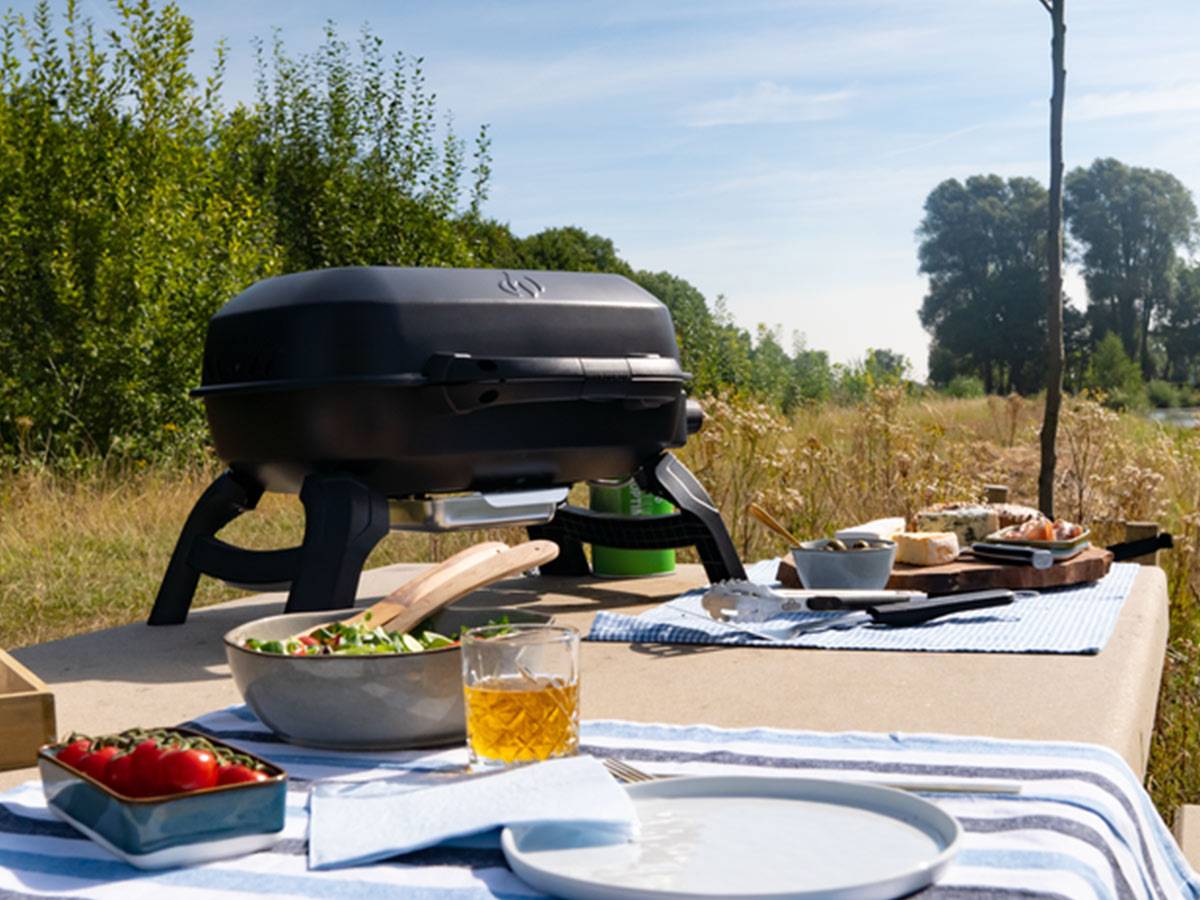 Napoleon - Barbecue à gaz portable Travel Q 240 - Napoleon - Image 4