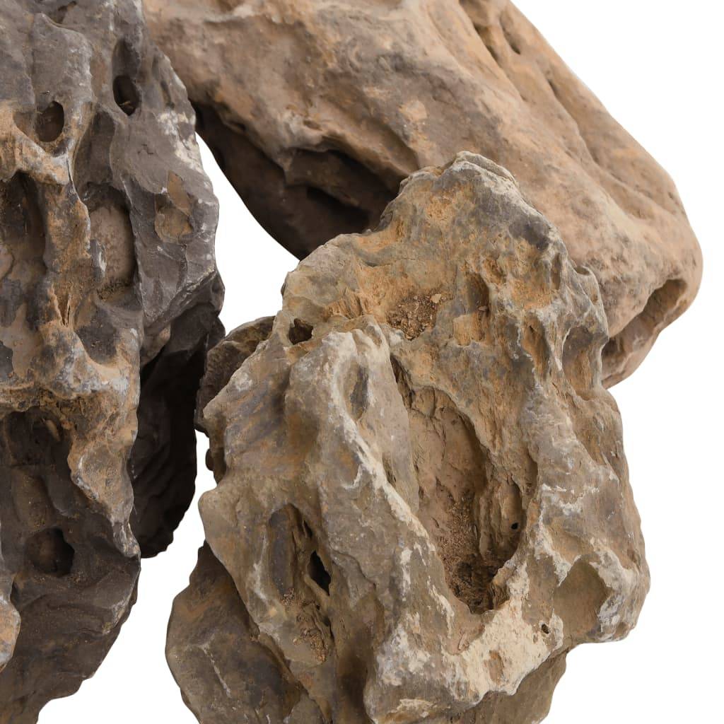 ComfortXL - Roche Dragon pour Aquarium Décor Aquascaping et Terrarium 10 kg 10-40 cm Gris - ComfortXL Outdoor Living - Image 5