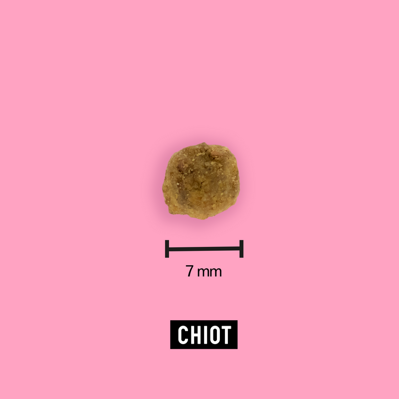 Croquettes aux insectes pour chiots 7,5kg - Tomojo - Image 3