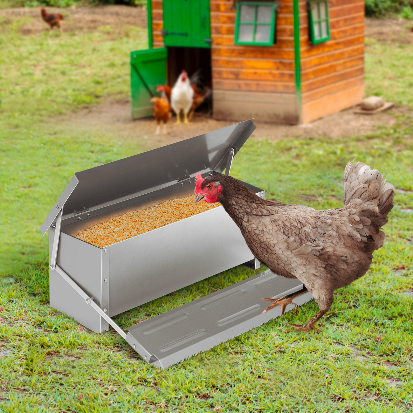 Mangeoire XXL pour poules distributeur automatique à pédale en acier 10 KG - Image 1