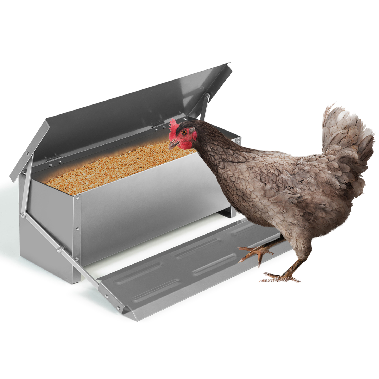 Mangeoire XXL pour poules distributeur automatique à pédale en acier 10 KG - Image 2