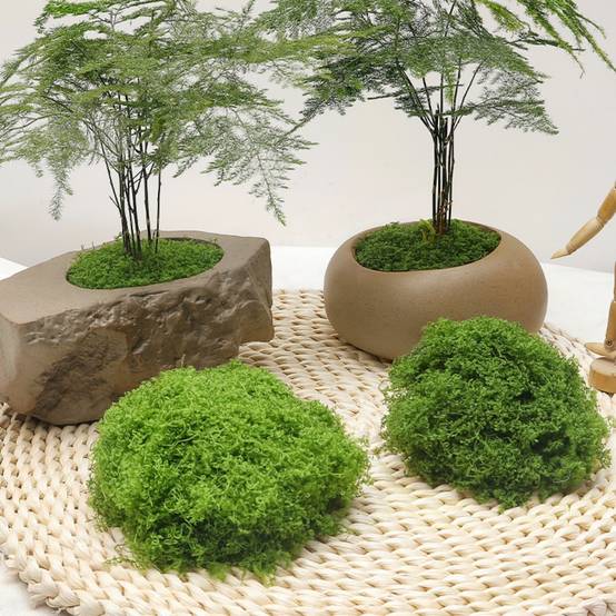 Mousse Artificielle pour Décoration de Jardin - Lot de 2 - Aspect Naturel et Sans Entretien - 100g - Lytech - Image 7