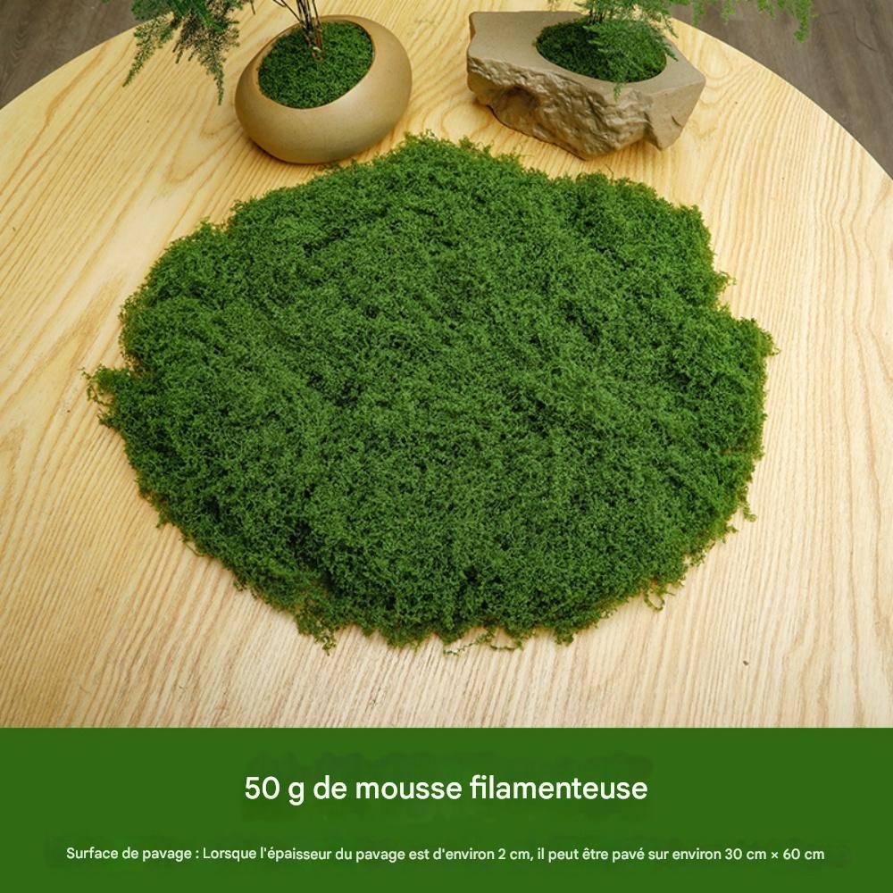 Mousse Artificielle pour Décoration de Jardin - Lot de 2 - Aspect Naturel et Sans Entretien - 100g - Lytech - Image 2