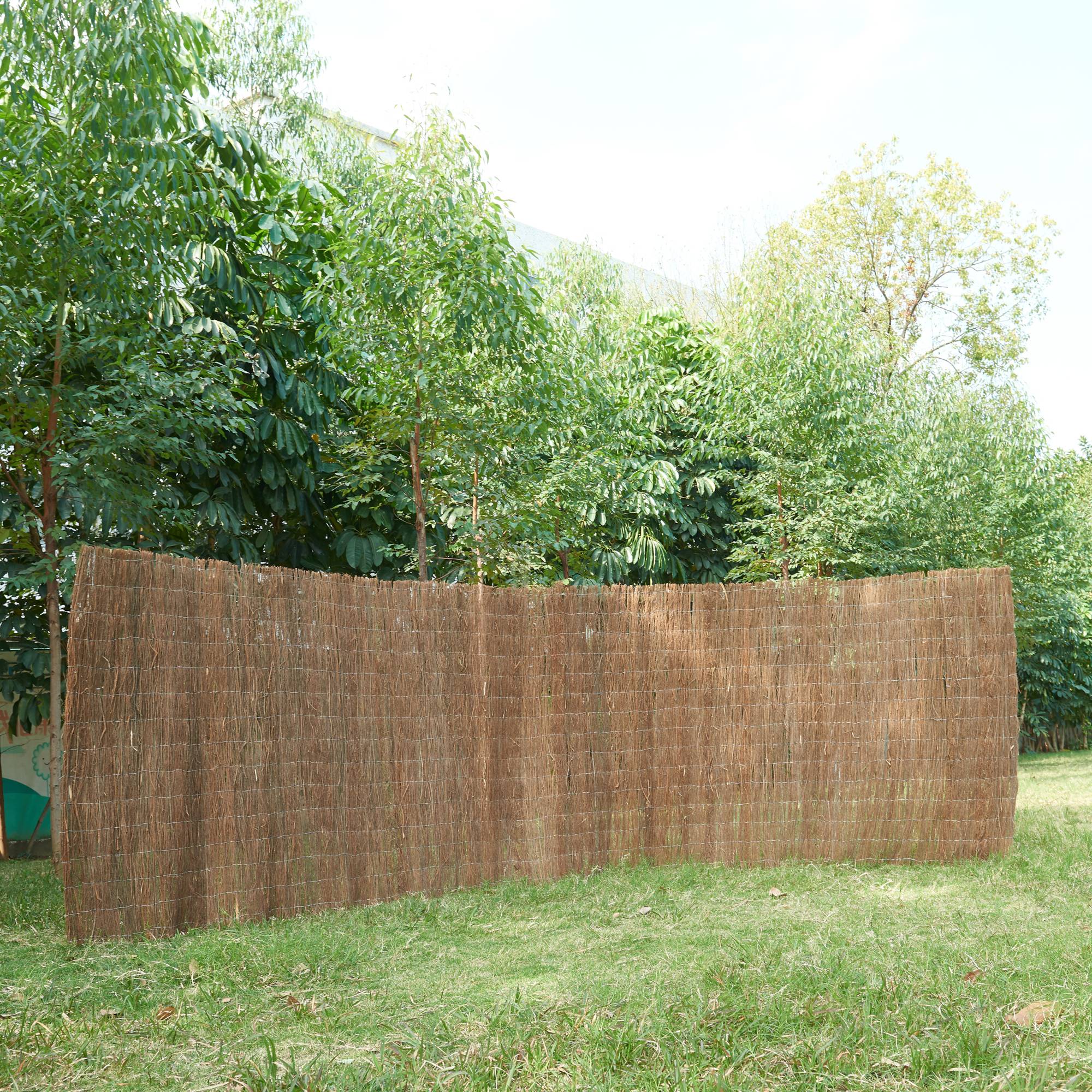 Casa.Pro - Brise-vue en brande de bruyère Brielle 1,5 kg / m² 500 x 100 cm naturel casa.pro - Image 2