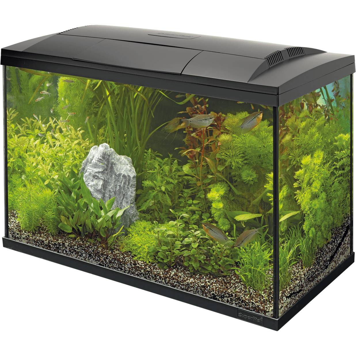 Superfish - Aquarium tropical 150 L complet meuble LED 18W - SUPERFISH
