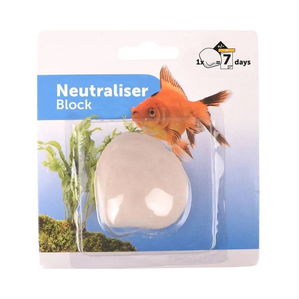 Animallparadise - Coquille à oxygène pour poisson d' Aquarium - Image 1